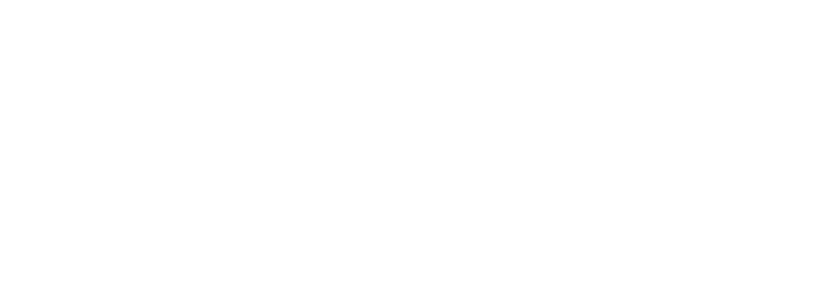 Logo Villa Seinerzeit