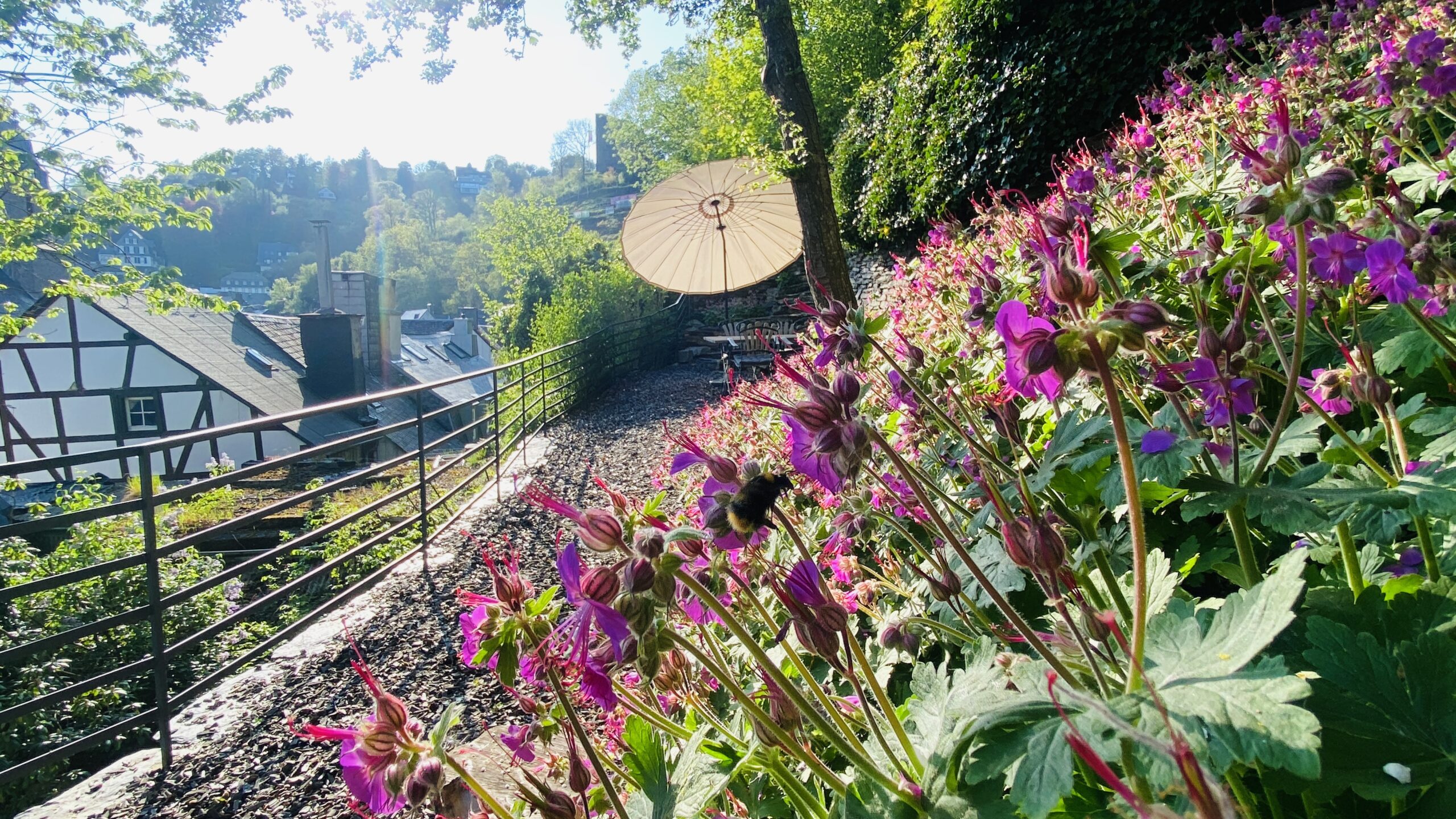 Begrünter Felshang Traumzeit
